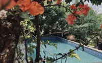 Lembah Metro Resort - สระว่ายน้ำแบบอินฟินิตี้