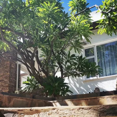 Guesthouse Terra Africa