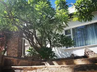 Guesthouse Terra Africa - Pensions
