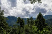 Perfectly Located Mountain Cabin with Breathtaking, Long Range Views! - Hytter