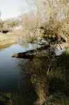 Karen’s River Bend! 0.5 miles away from beach!! - Homestays