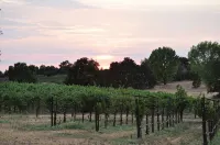 Family Winery Estate · Pet-Friendly Home with Vineyard Views - 4-Star