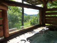 Unusual, secluded log cabin in the Vosges with luxury spa - Chalets