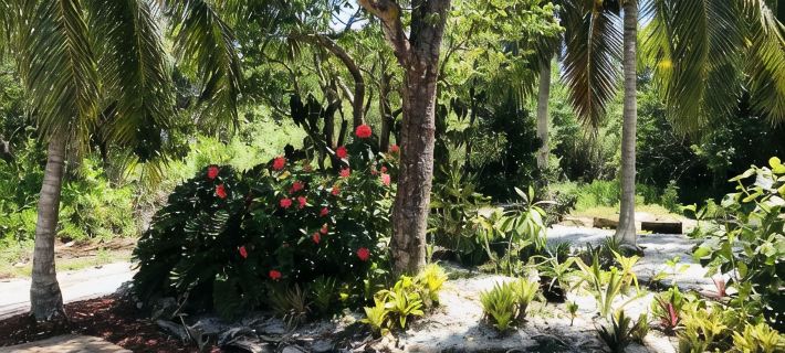Romantic beach home with golf cart Remodeled Coastal charm Hotéis em Captiva