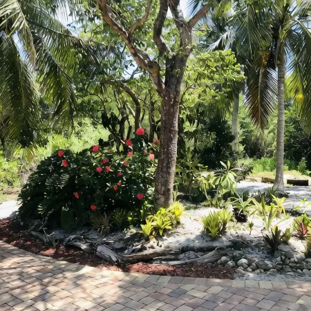 Romantic beach home with golf cart Remodeled Coastal charm Hotele w: Captiva