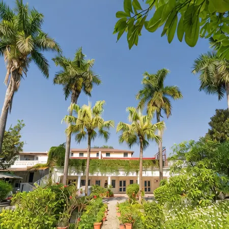 Mango Tree Courtyard Dehradun