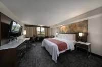 Holiday Inn BROOKFIELD - ​​MILWAUKEE by IHG - breakfast
