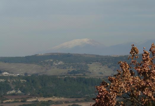 Grandma Vita's Holiday Apartment - Housity