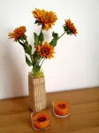 Orange Paradise b&b Hotels in Custonaci