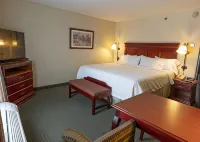 Hampton Inn by Hilton Guadalajara - Airport Hotels in Las Pintas