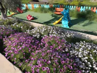 Kozbeyli Konagi Hotels in Aliağa