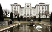 Curia Palace Hotel & Spa Hotels in 