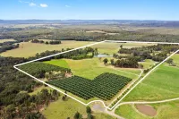 Block Eight Estate Tree Tops Villa Hotels in North Rothbury