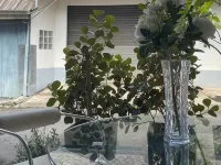 Rynn Hotel Hotels in Trat
