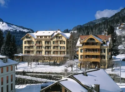 Historic Hotel Falken