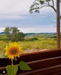 Pousada Flores de ipê - Pet friendly