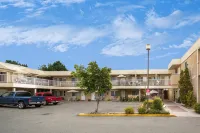 Siesta Suites