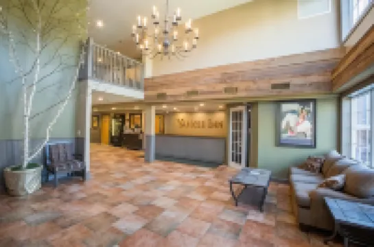 더 양키, 트레이드마크 컬렉션 바이 윈덤