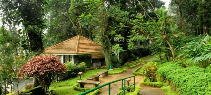 The Tall Trees Hotels in Munnar