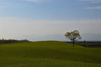 ホテル周辺 レゾネイトクラブくじゅうの写真