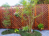 Guesthouse Bell Fushimi โรงแรมใกล้สถานีโยโดะ