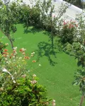 Andoni's House in Pitrofos Andros Island 2