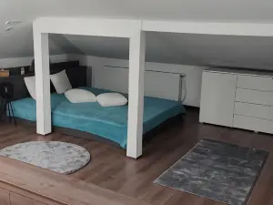 Attic Nicole