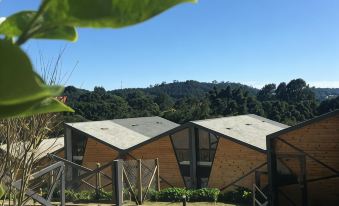 Hotel Pico 16