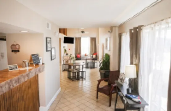 OYO 田納西布朗斯維爾I-40酒店 海伍德縣酒店