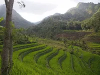 Griya Erlangga Homestay Hotel a Pajangan