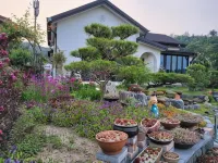 Sarah's Small Garden