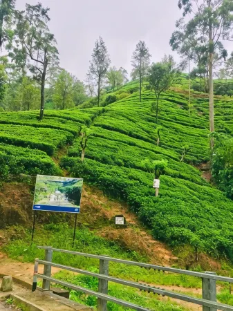 Ansi Villa Отели рядом с достопримечательностью «Lover's Leap Waterfall»