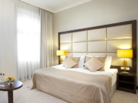 Kosher Hotel King David Prague Hotels in Prague