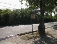 Marl Self Catering Hotels in Cascade