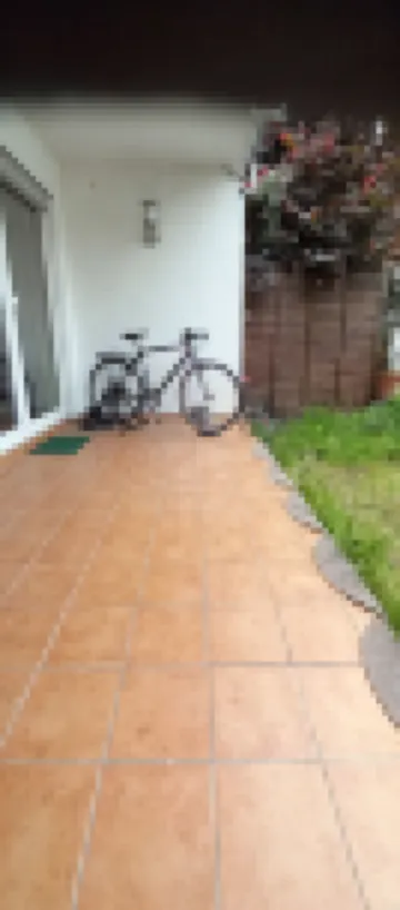 In the middle of Alt-Seckbach