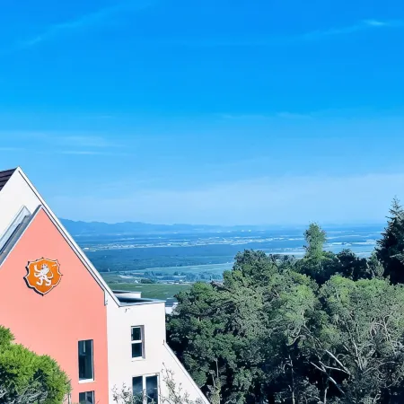 Hotel Spa Husseren Collections - Proche Colmar - Eguisheim