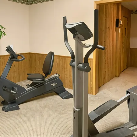Albert Lea Inn and Suites