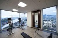 Hilton Garden Inn Santa Ana San Jose - Gym