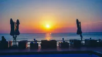 University Hotel (Shandong University Weihai International Academic Center) - bar