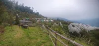 蘋果靜修度假村 - 宠物友好