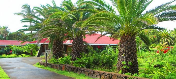 Iorana Isla de Pascua Hotel Hotels in Easter Island