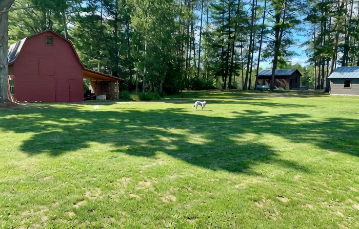 Little Sisu - Nordic Hideaway on Silverthorn Lake