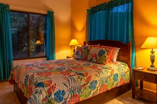 Iguana Apartmentos and Estate-Apartment 2