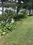 Oceanfront cozy comfortable cottage! - 3-Star