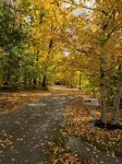 Harbor Springs Cottage In The Woods - 4 estrellas