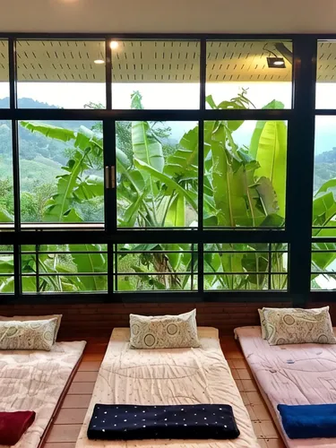 รูปภาพของBaanhatsompaen homestay