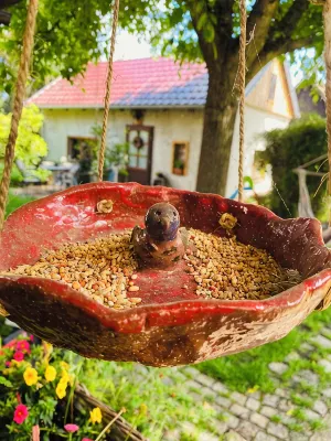Walnußhof im Spreewald - 民宿