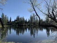 Mountain Cottage with creek and accessible trail and pond near Yosemite!