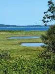 Cozy two bedroom home with ocean view. Quiet and secluded location. - 3-Star