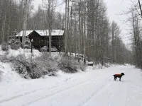 Experience Durango charm near Purgatory Resort - 4 tähden